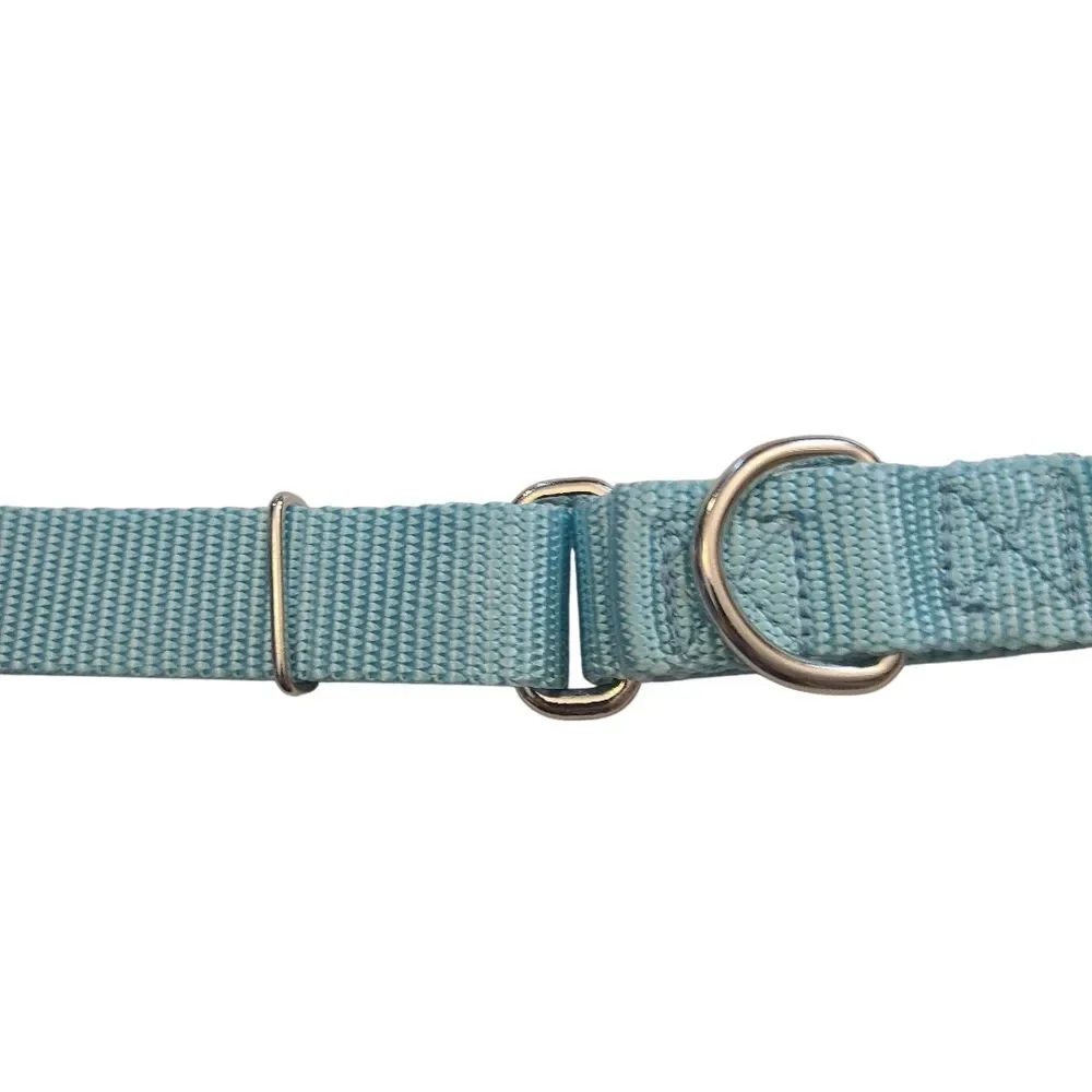 Country Brook Petz Dog Collar Size Large Soft Teal‎ 20